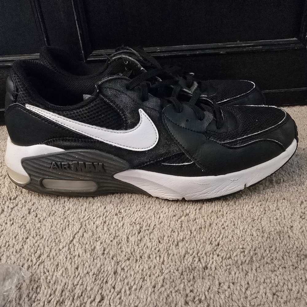 Nike Air Max Black and White Shoes